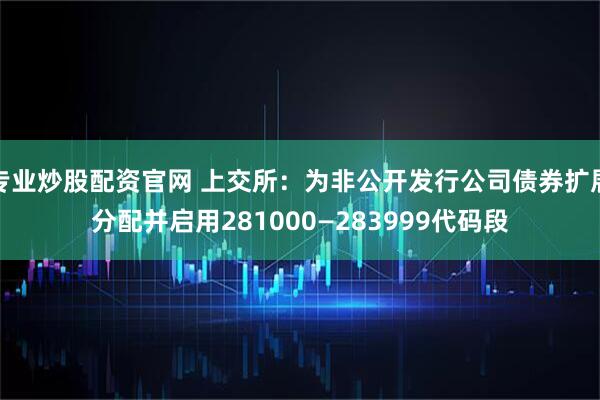 专业炒股配资官网 上交所：为非公开发行公司债券扩展分配并启用281000—283999代码段