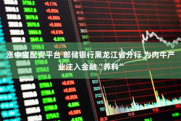 涨中宝配资平台 邮储银行黑龙江省分行 为肉牛产业注入金融“养料”