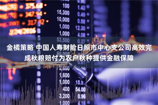 金橘策略 中国人寿财险日照市中心支公司高效完成秋粮赔付为农户秋种提供金融保障